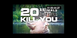 Title sequence from TV show with a hippo.