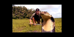 Brady Barr with Cobra in a Swamp.